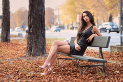 Gir Sitting Bench Autumn