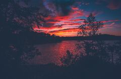 Red Evening Sunset Lake View From Forest Woods