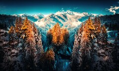 Snow Landscape Mountains Trees Forest